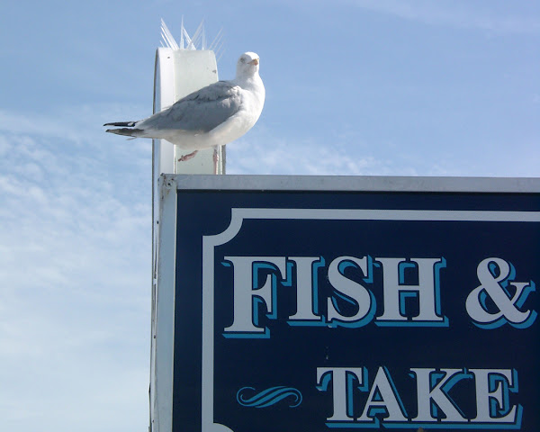 Palm Court fish and chips, Brighton Palace Pier, Madeira Drive, Brighton