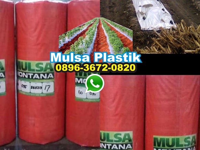Plastik Mulsa Cap Kuda
