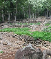 Honokowai Valley