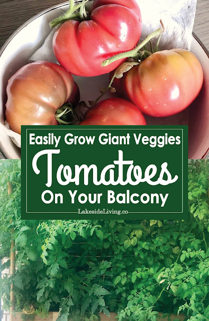 How to Grow Veggies on Your Balcony