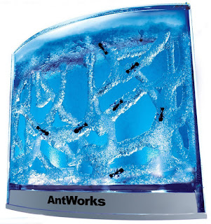 What They Said about AntWorks Illuminated Blue