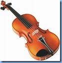 violin