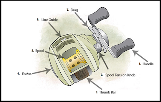 Mengenal Lebih Detail Tentang Baitcasting Reel