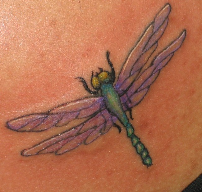 dragon fly tattoos. Dragonfly Tattoo Art.