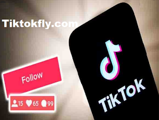 Tiktokfly.com || An easy way to get tiktok followers [free]