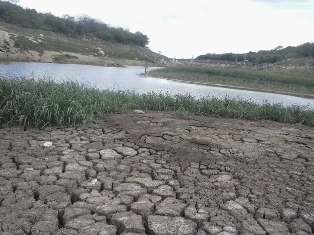 Capacidade de água do açude que abastece Cuité e Nova Floresta é preocupante 