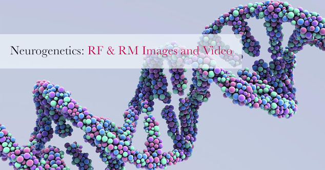 3d illustration of DNA