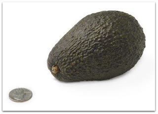 baby is size of avocado