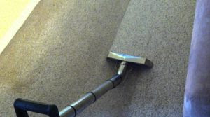 Carpet Cleaning Redmond, WA