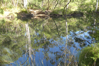 Margaret River reflections