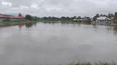  Banjir di Gaduik Rendam 200 Hektar Sawah