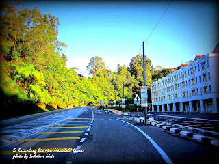 Marina Chalet and Homestay, Kampung Taman Sedia, Tanah Rata, Brinchang, Cameron Highlands,http://marinachalet.blogspot.com/