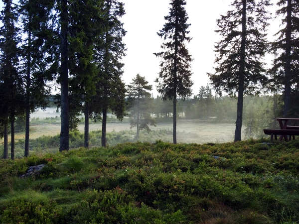 teinvassåsen høgdefjell