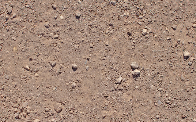 Ground Dirt Texture 4224x2640