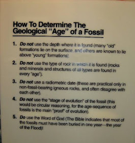 How to determine the Geological Age of a fossil - not like this!