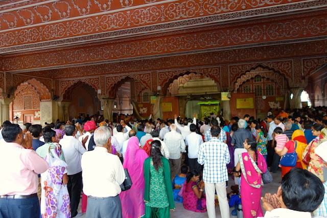 Every Day Thousands Come for Radha Govinda Darshan