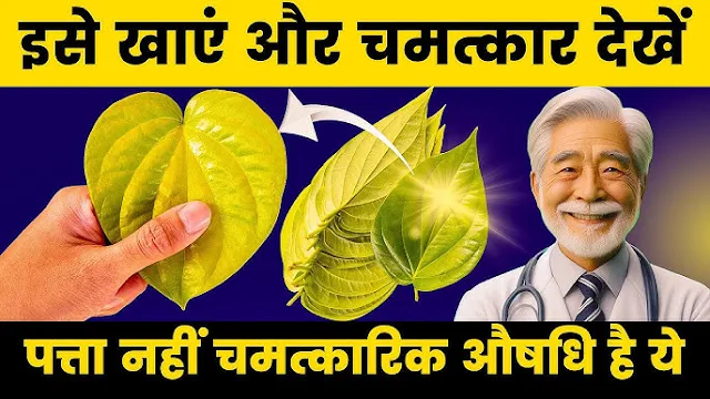 Paan Leaf