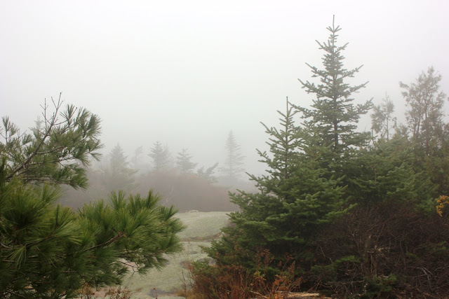 Cadillac Mountain