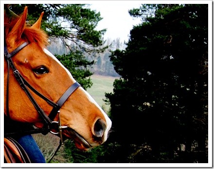 25 March 3 25-03-2012 10-00-01 1074x838