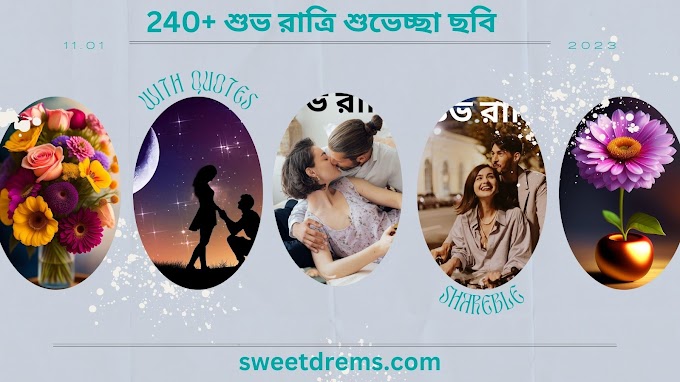 240+ শুভ রাত্রি শুভেচ্ছা ছবি | Good night images in Bengali