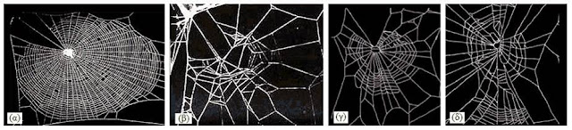 Μορφές ιστού αράχνης, υπό την επίδραση ψυχοτρόπων ουσιών.