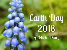 Earth Day 2018