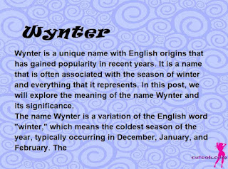 meaning of the name "Wynter"