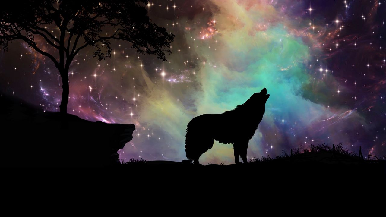 Wallpaper Wolf Starry Sky Silhouette Art