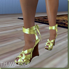 Snapshot_005