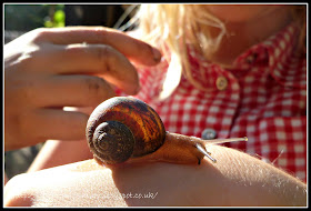 Garden Snail, snail racing winner, #50things, National Trust