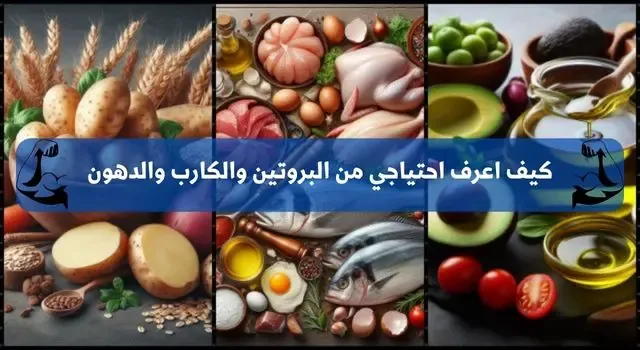 كيف اعرف احتياجي من البروتين والكارب والدهون