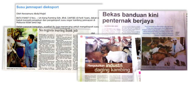 Rahsia Kambing Panduan Lengkap Menternak Kambing