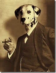sigmund-spot toned