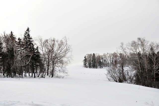 DSC_0110.JPG
