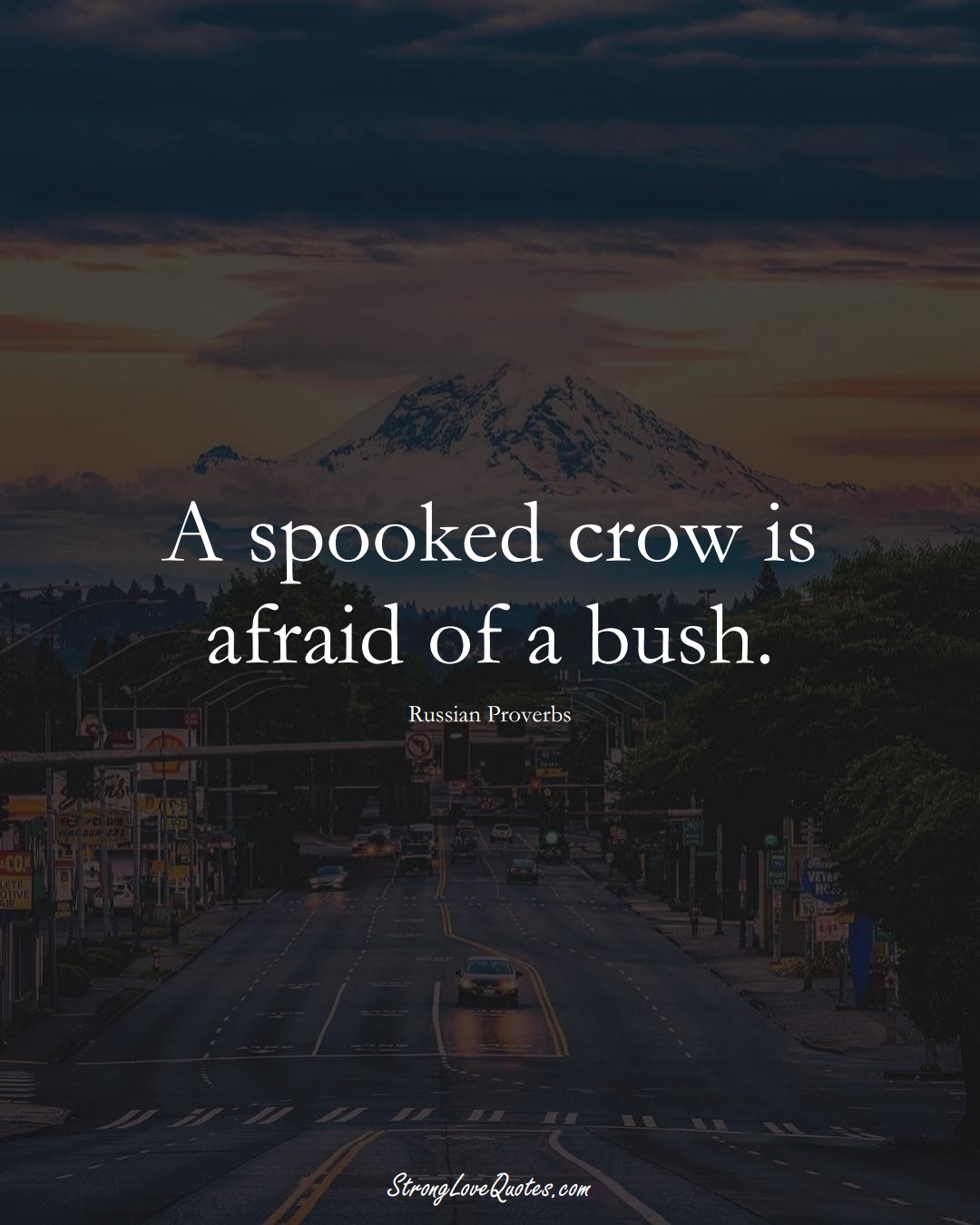 A spooked crow is afraid of a bush. (Russian Sayings);  #AsianSayings