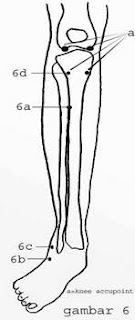 gambar titik pijat titik akupuntur refleksi kaki