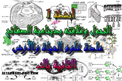 تحميل أنشطة 1: التحول وعلاقته بدينامية الصفائح للسنة الثانية باك , درس , ملخص , تمارين , امتحانات وطنية علوم الحياة والارض , علوم الحياة والارض , فروض علوم الحياة والارض , الثانية باك , بكالوريا , دروس اونلاين