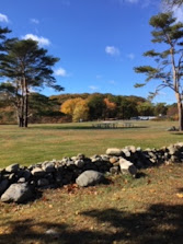 Fall foliage and rock wall