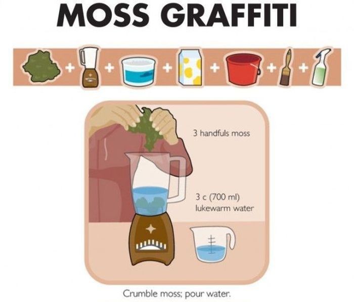 How to Make Moss Graffiti 9 pics Crack Two on Thursday February 23 2012