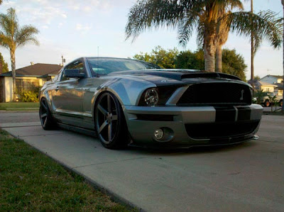 Shelby GT 500