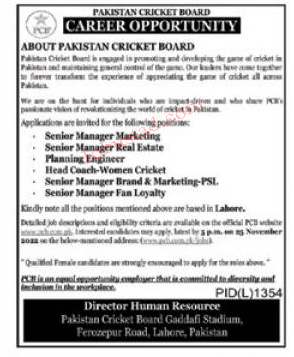 The Latest PCB Jobs November 2022 – Pakistan Cricket Board Jobs