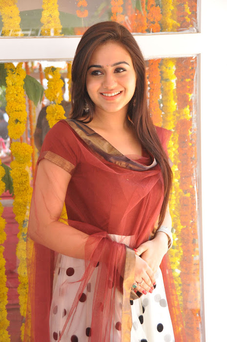 aksha at srikanth new movie launch hot photoshoot