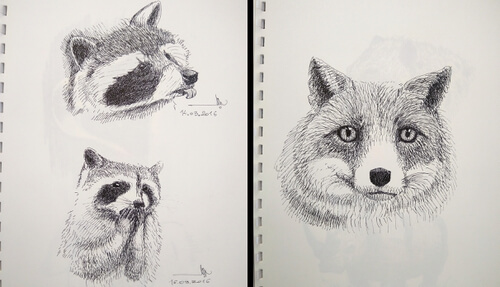 00-Animal-Drawings-Антон-Сушкин-www-designstack-co