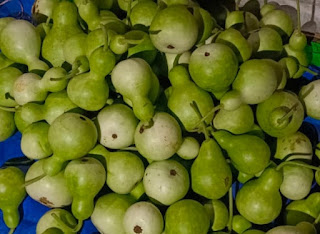 Bottle gourd