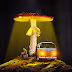  Mushroom Light Photoshop Manipulation