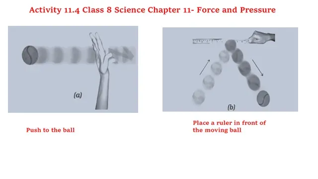 Activity 11.4 Class 8 Science Chapter 11 Solution