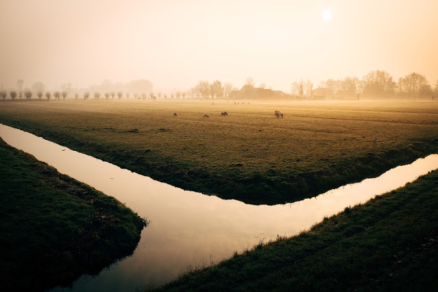 Surface irrigation