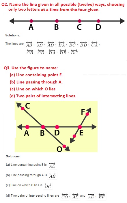 class 6 math chapter 4 exercise 4.1