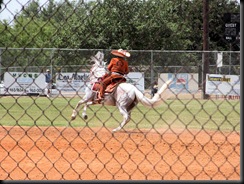 mexican dancing horses2