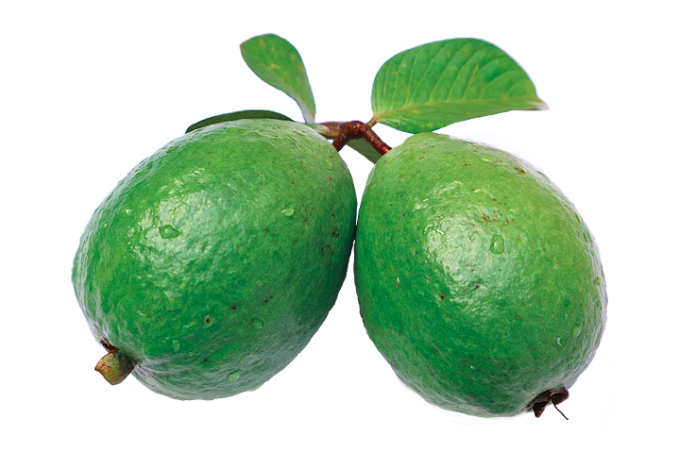 अमरूद एक फायदे अनेक | जानिये अमरूद के चमत्कारी फायदे | Amazing Facts Of Gauva Fruit 